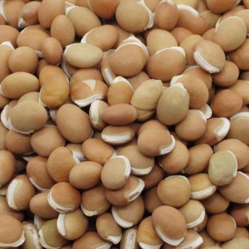 BALLAR GRAM LOOSE