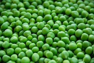 GREEN PEAS 30 KGS