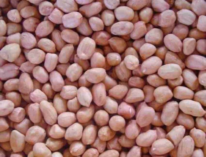 GROUND NUT SEEDS 50 KGS