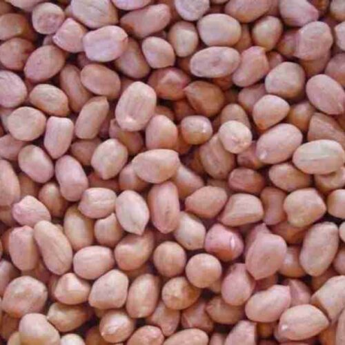 GROUND NUT SEEDS LOOSE
