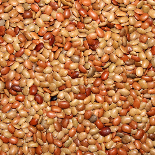 HORSE GRAM 30 KGS