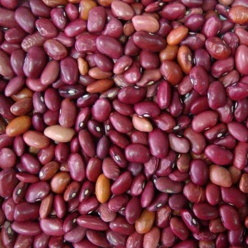 RED LOBIA LOOSE