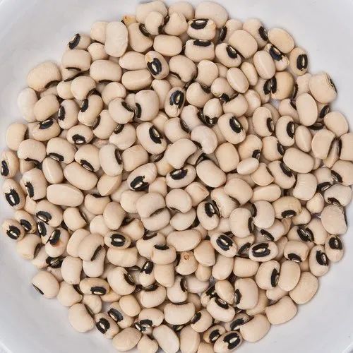 WHITE LOBIA LOOSE