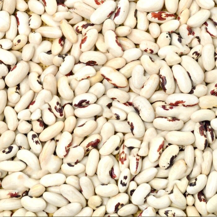 WHITE RAJMA LOOSE NA
