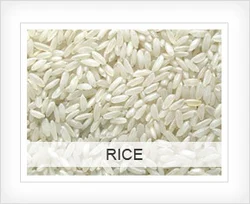 PADMAVATHI BOILED LOOSE RICE