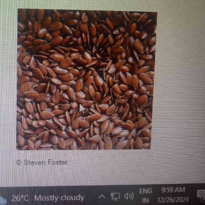 FLAX SEEDS LOOSE NA