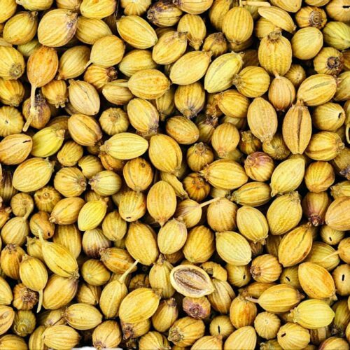 DHANIYA SEEDS 40KG BAG
