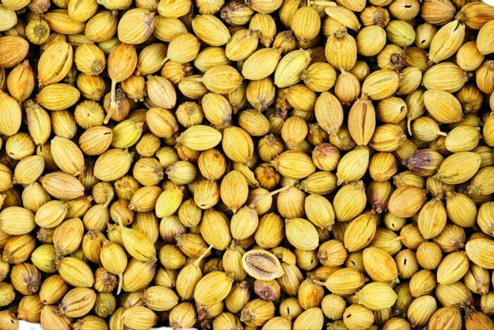 DHANIYA SEEDS 40KG BAG