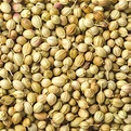 DHANIYA SEEDS FINE LOOSE