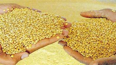 CHANNA DAL MAHARAJ 50 KG BAG