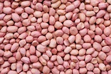 GROUND NUT 50 KG BAG